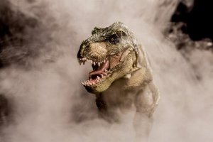 Ecco 6 curiosità sul Tirannosauro rex