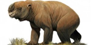 La megafauna estinta dell'Australia