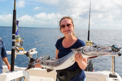 Barracuda e pesca sportiva
