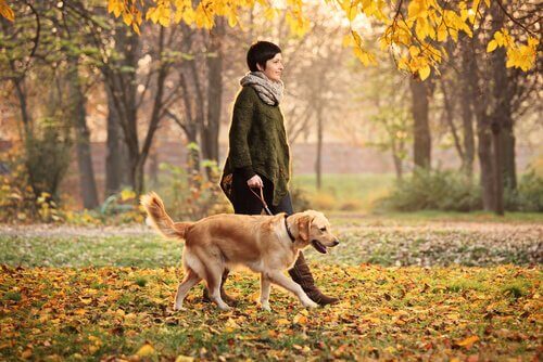 Idee per portare a passeggio il cane in autunno
