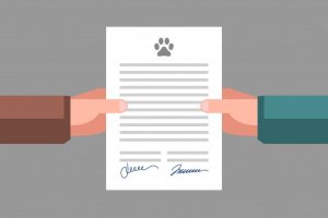 Tutto sulla documentazione legale per animali