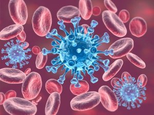 I meccanismi di regolazione omeostatica