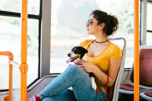 Ragazza con cane su autobus 