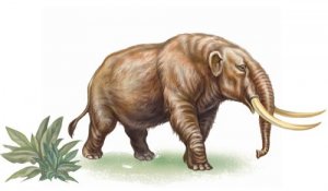 Conoscete la storia del mastodonte estinto?