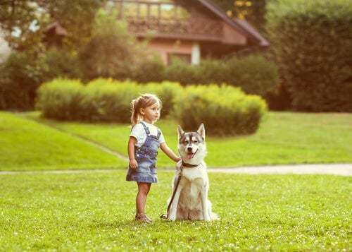 Cane animali domestici ideali per i bambini