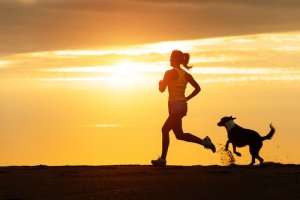 Cane e running: una combinazione eccezionale