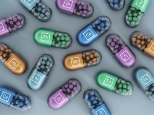 Vitamine e minerali sintetici negli alimenti per cani: che cosa dovete sapere