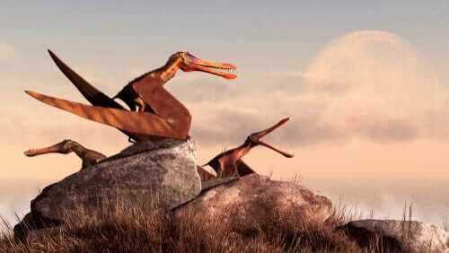 Pterosauri su una roccia