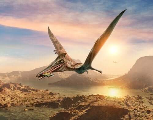Pterosauro a caccia