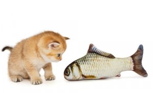 2 curiosi aneddoti sui gatti e i loro padroni