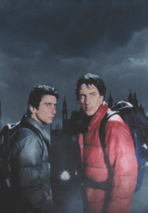 5 film sui lupi mannari davvero imperdibili: Un lupo mannaro americano a Londra