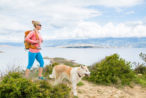 tra le attività estive da fare con il proprio cane, il trekking è una delle più sane