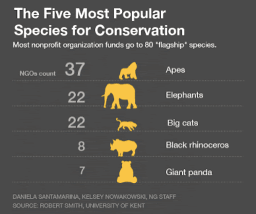 Specie animali e biodiversità: le specie bandiera
