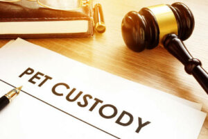 Pro e contro del contratto di adozione degli animali