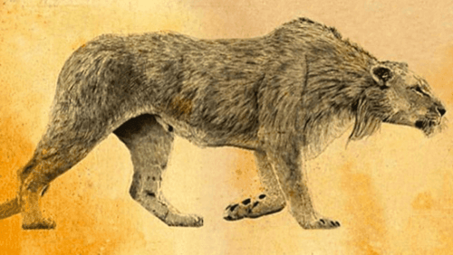 Il leone delle caverne: il predatore che terrorizzava i nostri antenati