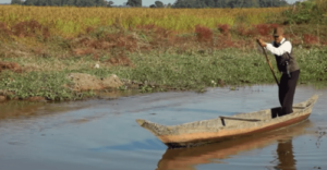 Storia dell'uomo che piantò un bosco