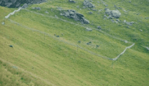 Staccionate in montagna per catturare dei camosci.