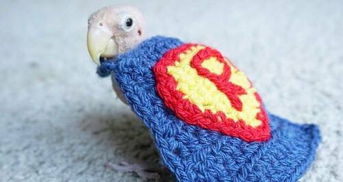 Rea con mantello di Superman