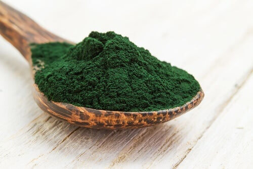 Spirulina benefici per i cani