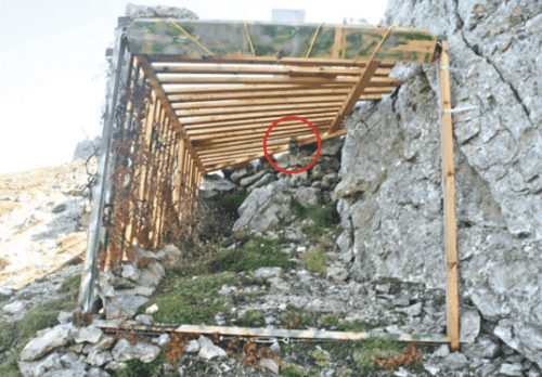 Trappola di legno piazzata per catturare uno stambecco.