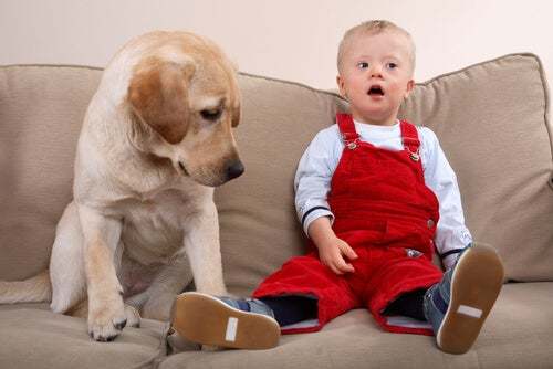 Bambino con sindrome di Down accanto al suo cane