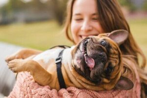 6 errori comuni con gli animali domestici