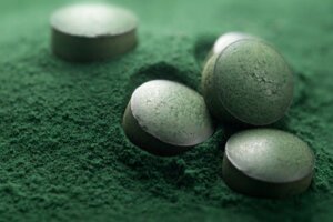 Spirulina per cani: è raccomandabile?