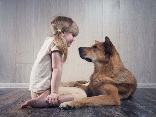Bambina con il suo cane