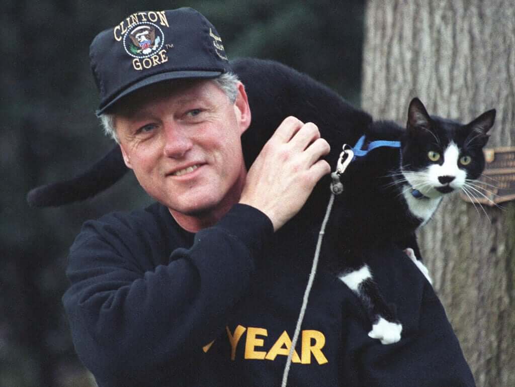 Socks il gatto di Clinton e il giorno internazionale del gatto
