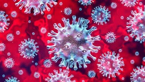 Immagine del coronavirus