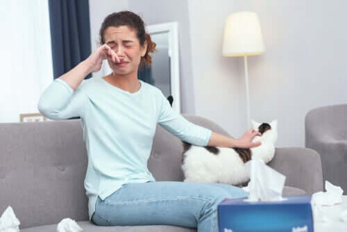 Controllare l'allergia ai gatti con 12 utili consigli