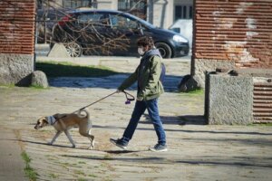 Coronavirus e multe per chi porta il cane a passeggio