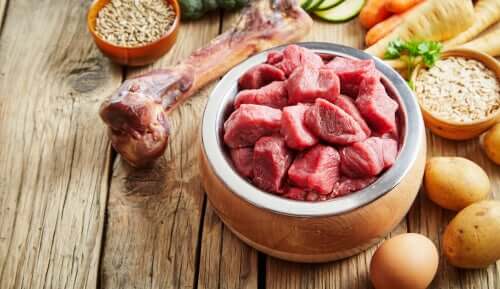 Recipiente pieno di carne. Le proteine sono tra i bisogni nutrizionali di un cane più importanti