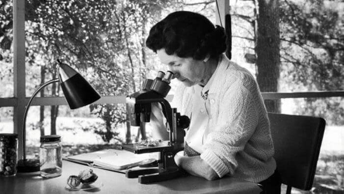 Rachel Carson al microscopio