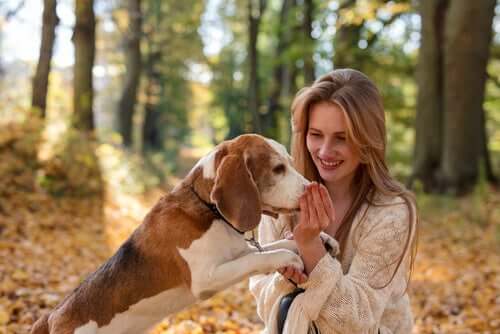 ragazza con il suo cane in un bosco