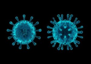 5 cose da sapere sul coronavirus canino