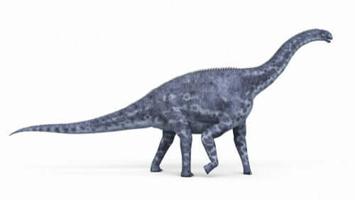 cetiosaurus, modellino in plastica