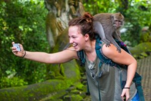 I selfie con i macachi, cosa c'è dietro?