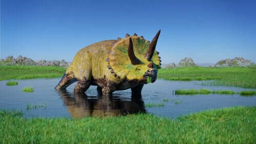 triceratopo in uno stagno, dinosauri erbivori