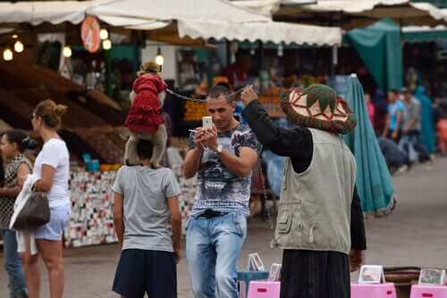 Turista fa un selfie con i macachi in Marocco.