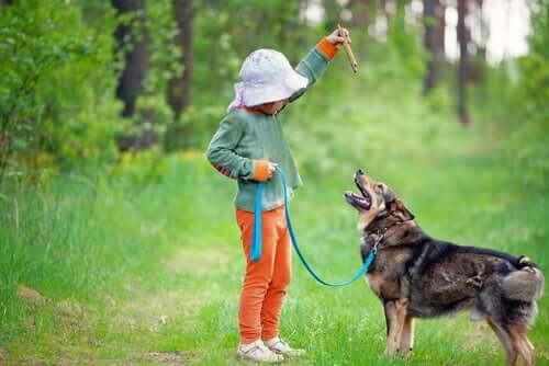 Bambino e cane che giocano con un legnetto