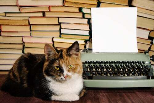 Gatti e letteratura