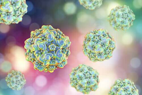 Fatica cronica negli animali e microrganismi che la causano