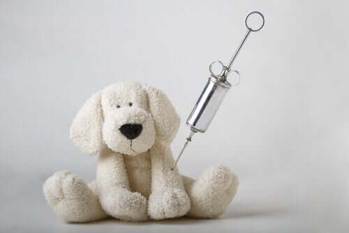 Vaccini animali, siringa e peluche