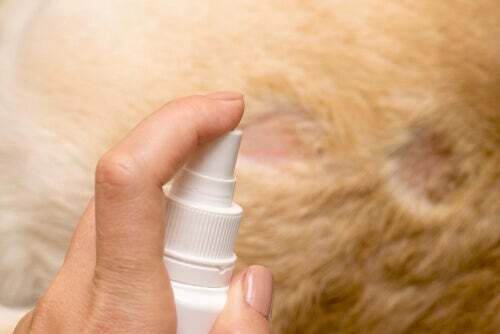 Spray antiparassitario per cani