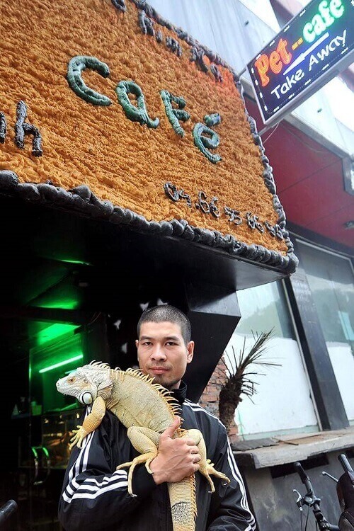 Prendere un caffè ad Hanoi in compagnia di animali esotici