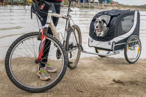 a quanti mesi si può portare un neonato in bicicletta