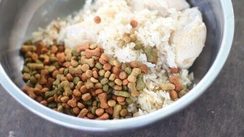 croccantini e riso in una ciotola