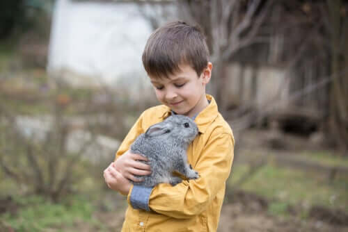 Bambino che abbraccia un coniglio.