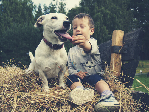 Toxocariasi nei cani: cane con bambino sulla paglia